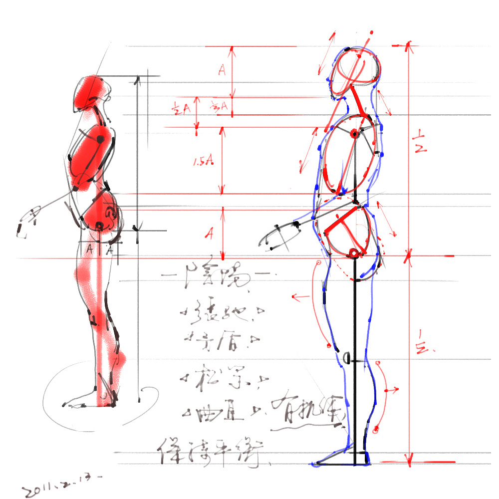 「動(dòng)漫設(shè)計(jì)」分享一波繪畫專用人體解剖素材 part 01 「動(dòng)漫設(shè)計(jì)」分享一波繪畫專用人體解剖素材 part 01