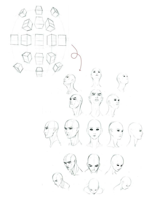 「動(dòng)漫設(shè)計(jì)」人體繪畫基礎(chǔ) part 02 認(rèn)識(shí)肌肉(1) 「動(dòng)漫設(shè)計(jì)」人體繪畫基礎(chǔ) part 02 認(rèn)識(shí)肌肉(1)