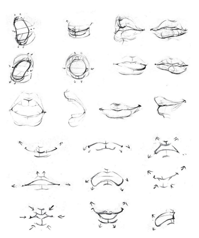 「動(dòng)漫設(shè)計(jì)」人體繪畫基礎(chǔ) part 02 認(rèn)識(shí)肌肉(1) 「動(dòng)漫設(shè)計(jì)」人體繪畫基礎(chǔ) part 02 認(rèn)識(shí)肌肉(1)