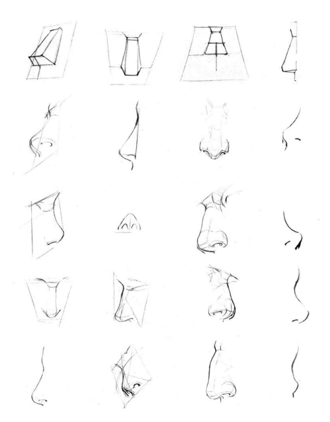 「動(dòng)漫設(shè)計(jì)」人體繪畫基礎(chǔ) part 02 認(rèn)識(shí)肌肉(1) 「動(dòng)漫設(shè)計(jì)」人體繪畫基礎(chǔ) part 02 認(rèn)識(shí)肌肉(1)