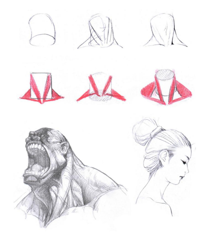 「動(dòng)漫設(shè)計(jì)」人體繪畫基礎(chǔ) part 02 認(rèn)識(shí)肌肉(1) 「動(dòng)漫設(shè)計(jì)」人體繪畫基礎(chǔ) part 02 認(rèn)識(shí)肌肉(1)