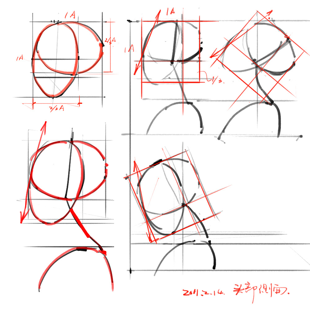 「動漫設(shè)計」分享一波繪畫專用人體解剖素材 part 02 「動漫設(shè)計」分享一波繪畫專用人體解剖素材 part 02