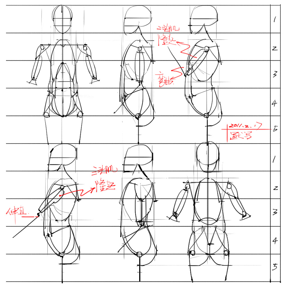 「動漫設(shè)計」分享一波繪畫專用人體解剖素材 part 03 「動漫設(shè)計」分享一波繪畫專用人體解剖素材 part 03
