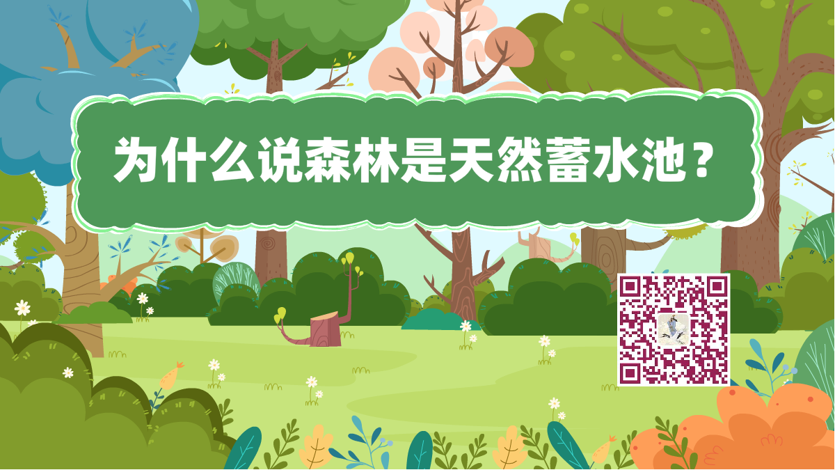 十萬個為什么標題(森林蓄水池)1200.png 十萬個為什么標題(森林蓄水池)1200.png