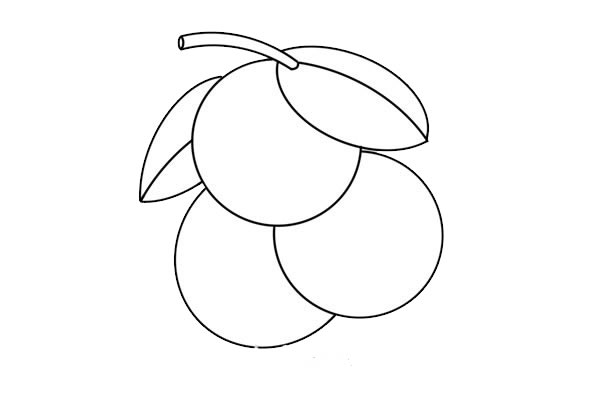 荔枝簡(jiǎn)筆畫(huà)的畫(huà)法