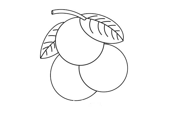 荔枝簡(jiǎn)筆畫(huà)的畫(huà)法