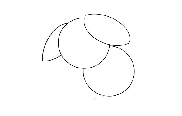 荔枝簡(jiǎn)筆畫(huà)的畫(huà)法