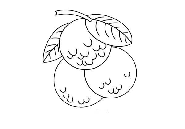 荔枝簡(jiǎn)筆畫(huà)的畫(huà)法
