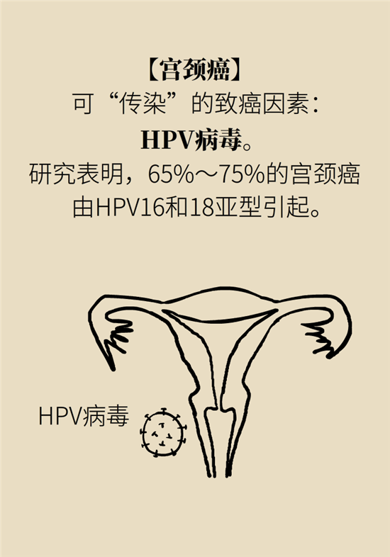 癌癥會傳染嗎？專家：這些高危因素得注意