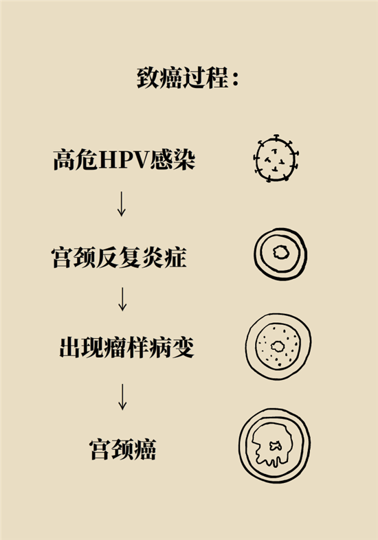 癌癥會傳染嗎？專家：這些高危因素得注意