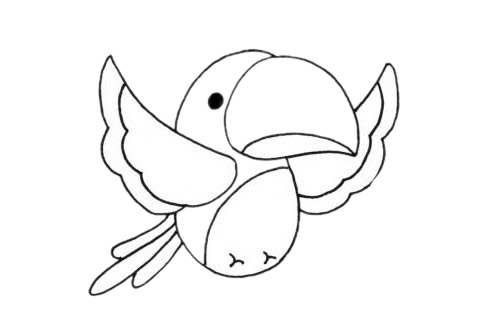 卡通鸚鵡簡(jiǎn)筆畫圖片