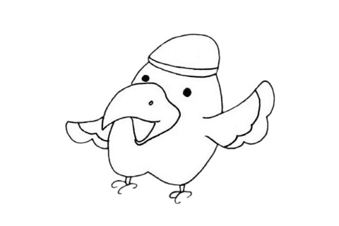 鸚鵡簡(jiǎn)筆畫圖片