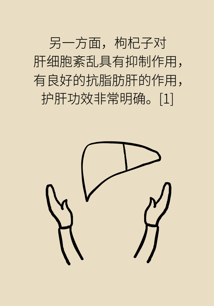 成天喝著枸杞茶，它真的適合你嗎？