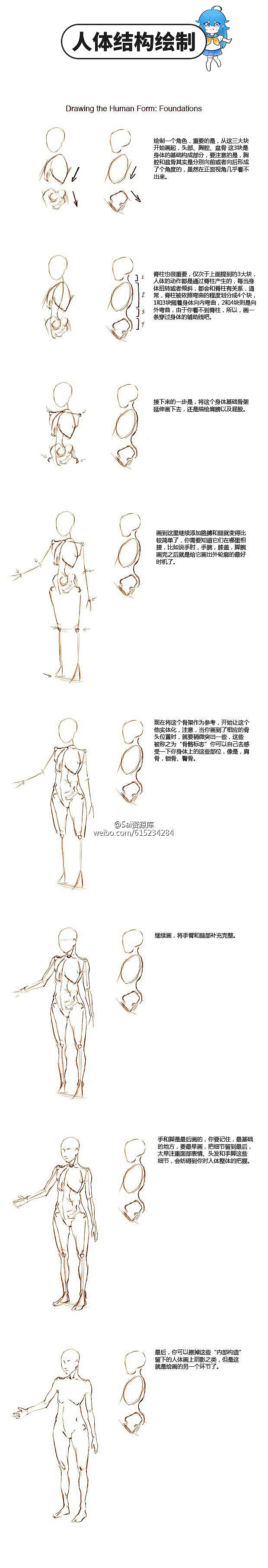 動漫人體結(jié)構(gòu)繪制與參考素材 動漫人體結(jié)構(gòu)繪制與參考素材