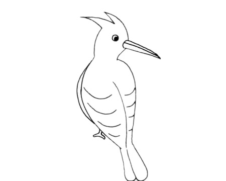 啄木鳥(niǎo)簡(jiǎn)筆畫(huà)圖片
