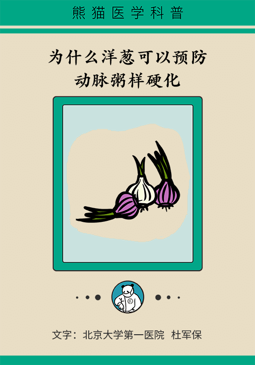 洋蔥可以預(yù)防動(dòng)脈硬化，是真的嗎？