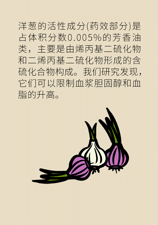 洋蔥可以預(yù)防動(dòng)脈硬化，是真的嗎？