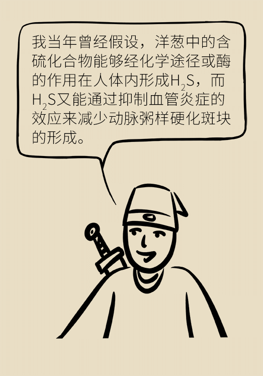 洋蔥可以預(yù)防動(dòng)脈硬化，是真的嗎？