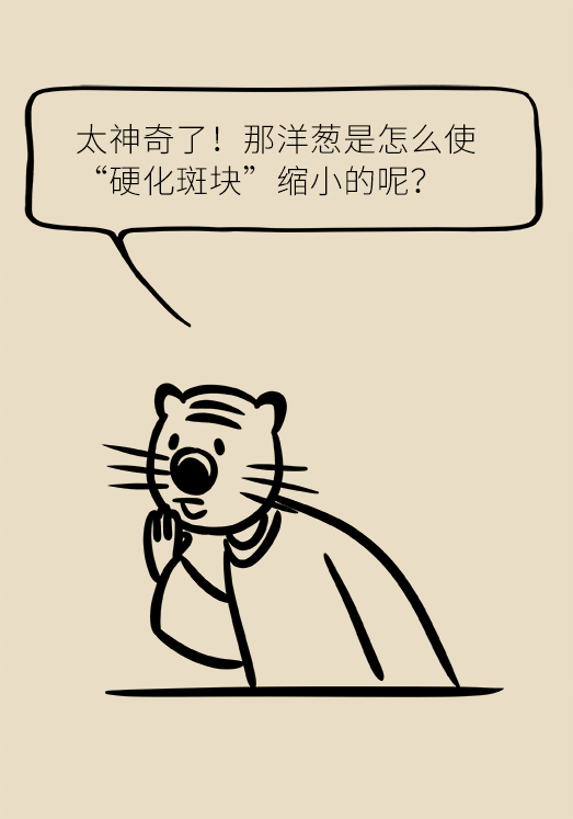 洋蔥可以預(yù)防動(dòng)脈硬化，是真的嗎？