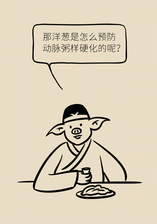 洋蔥可以預(yù)防動(dòng)脈硬化，是真的嗎？
