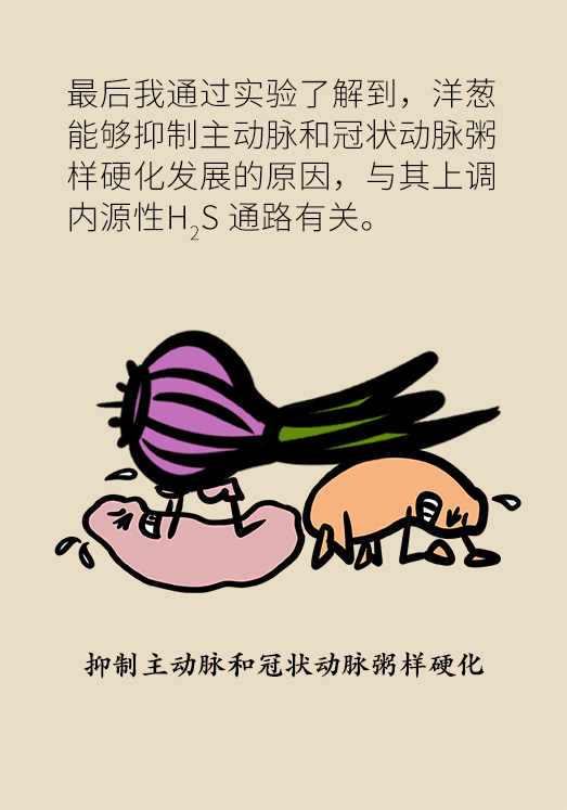 洋蔥可以預(yù)防動(dòng)脈硬化，是真的嗎？