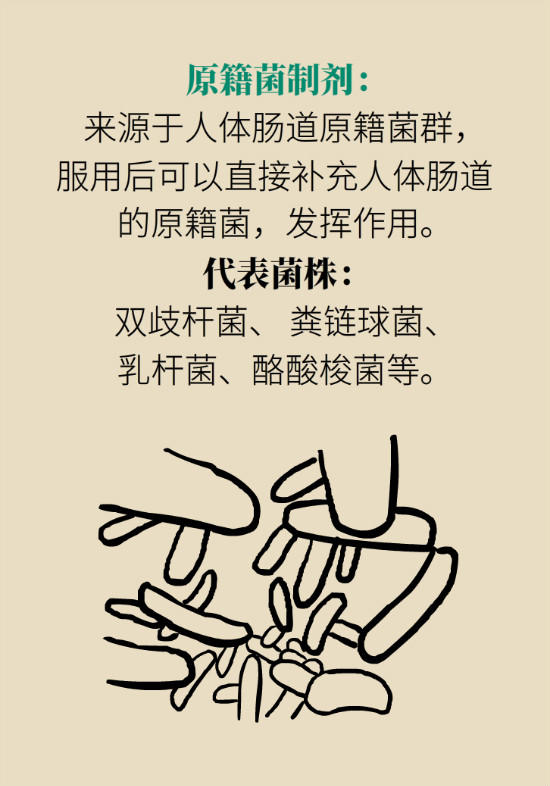益生菌真能提高免疫力嗎？專家提醒注意這8點(diǎn)
