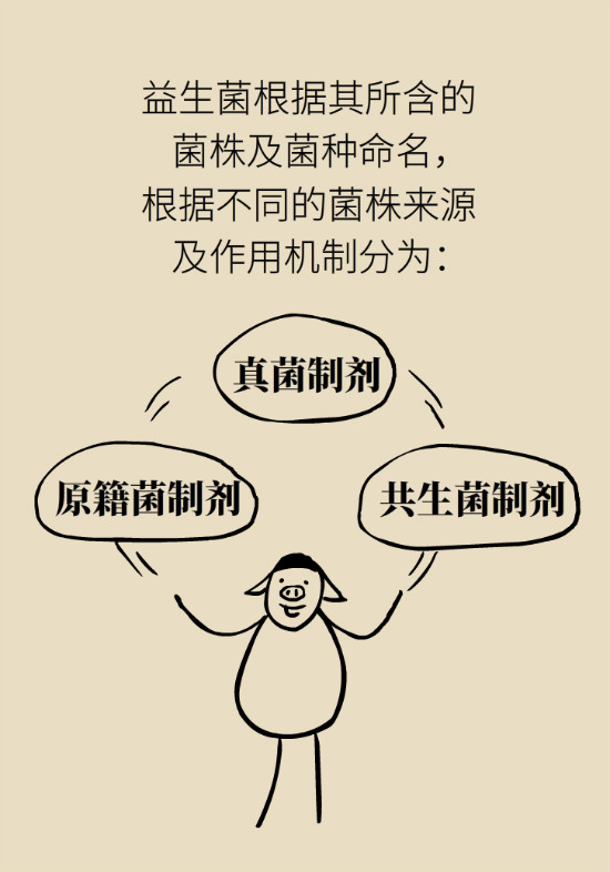 益生菌真能提高免疫力嗎？專家提醒注意這8點(diǎn)