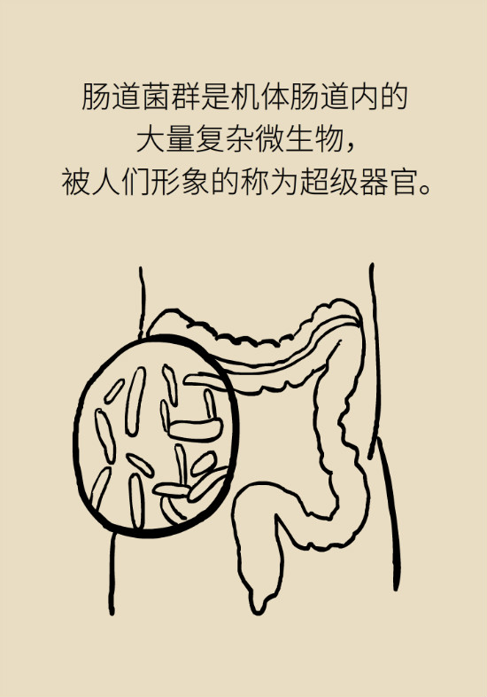 益生菌真能提高免疫力嗎？專家提醒注意這8點(diǎn)