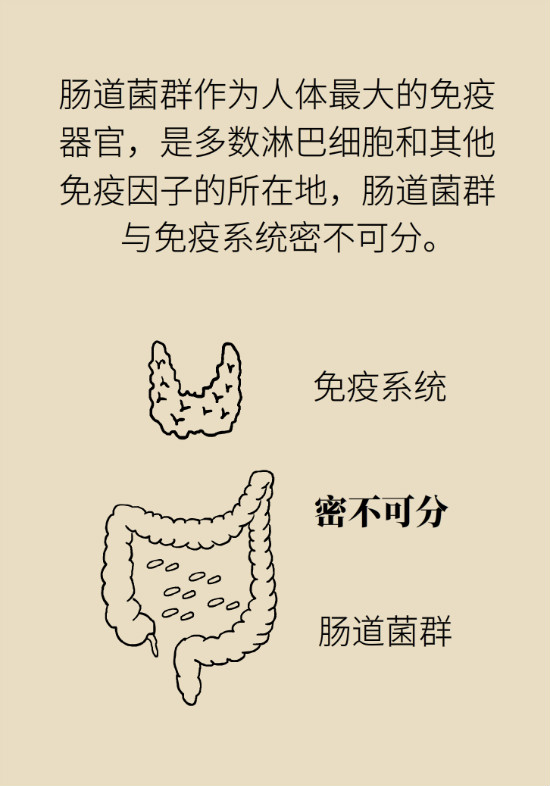 益生菌真能提高免疫力嗎？專家提醒注意這8點(diǎn)