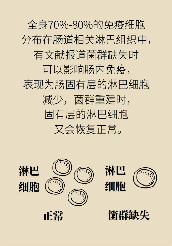 益生菌真能提高免疫力嗎？專家提醒注意這8點(diǎn)