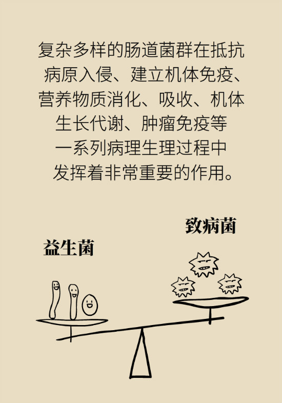 益生菌真能提高免疫力嗎？專家提醒注意這8點(diǎn)