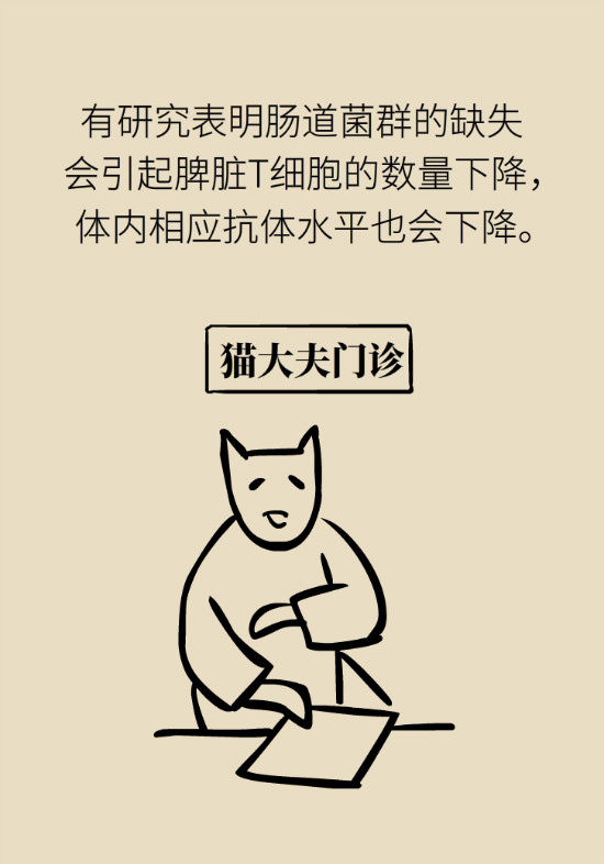 益生菌真能提高免疫力嗎？專家提醒注意這8點(diǎn)