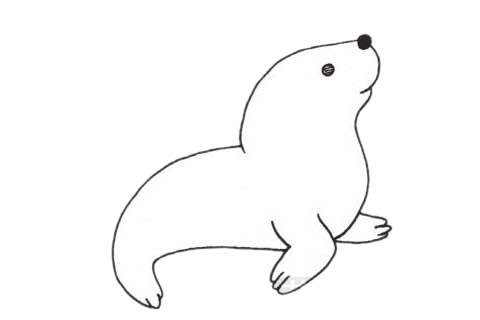 海獅簡(jiǎn)筆畫圖片