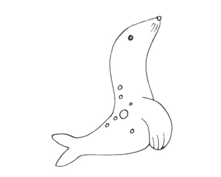 海獅簡(jiǎn)筆畫圖片
