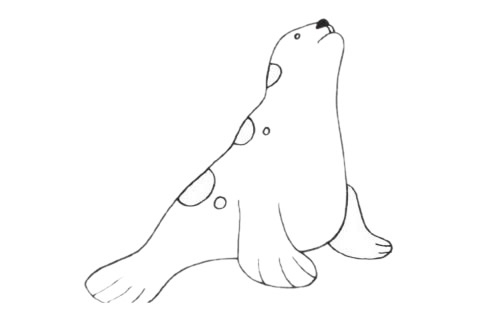 海獅簡(jiǎn)筆畫圖片