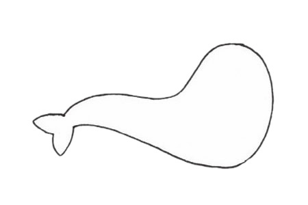 海獅簡(jiǎn)筆畫圖片
