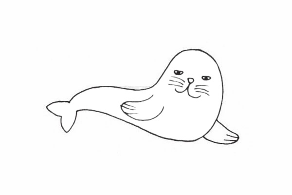海獅簡(jiǎn)筆畫圖片