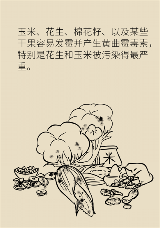 大米食油里也有致癌毒素，專(zhuān)家教你如何避開(kāi)它