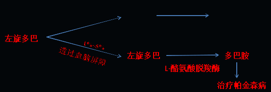 同樣的藥，為什么對他有效卻對你沒效果，可能得問腸道菌群
