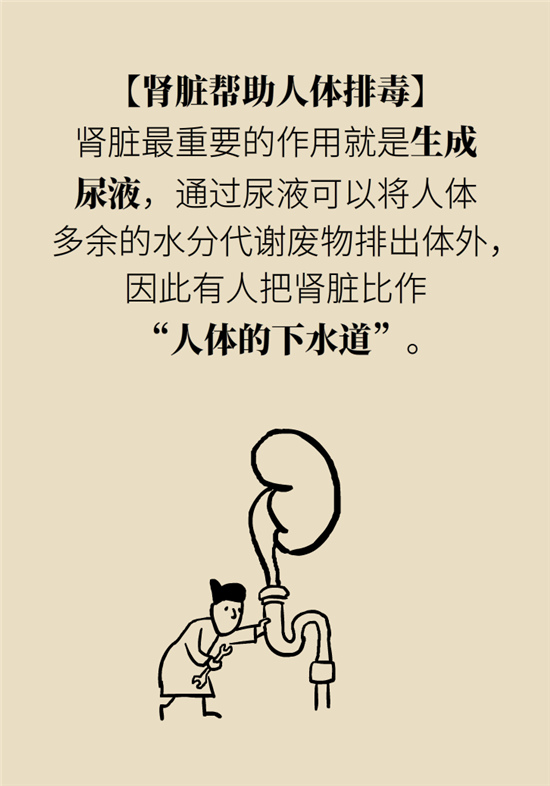 經(jīng)常憋尿會(huì)得急性腎炎？