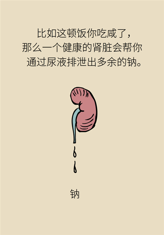 經(jīng)常憋尿會(huì)得急性腎炎？