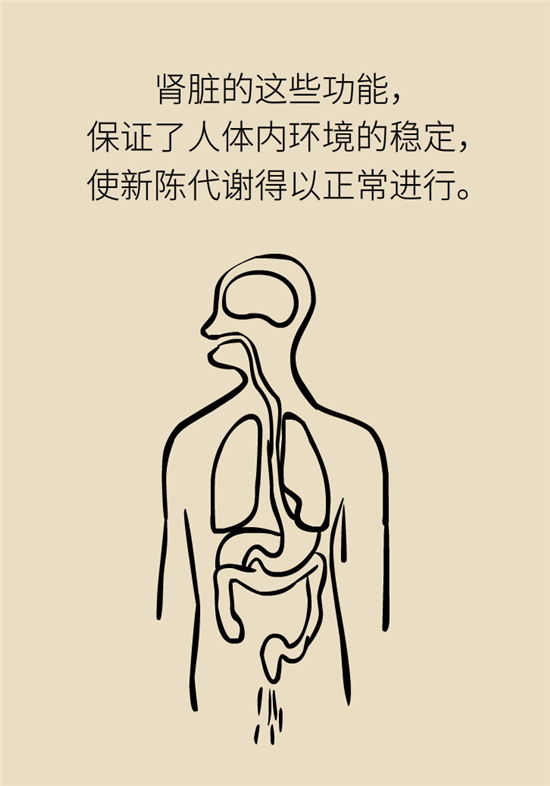 經(jīng)常憋尿會(huì)得急性腎炎？