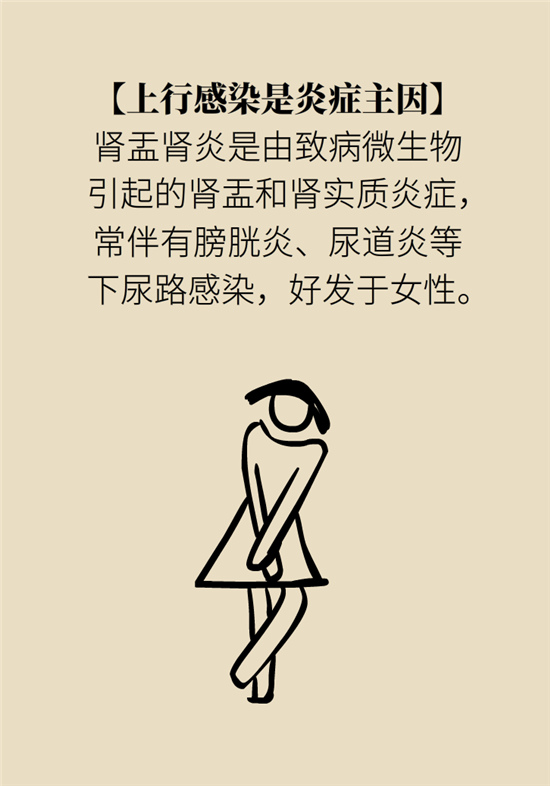 經(jīng)常憋尿會(huì)得急性腎炎？