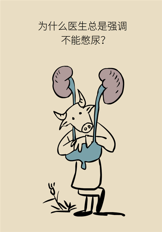 經(jīng)常憋尿會(huì)得急性腎炎？