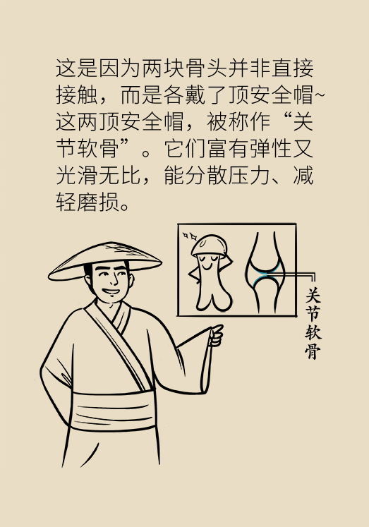 人老關(guān)節(jié)也會老嗎？