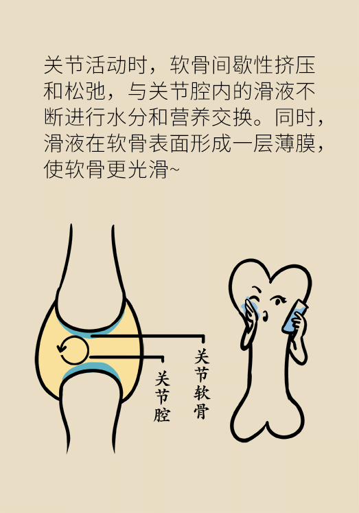 人老關(guān)節(jié)也會老嗎？