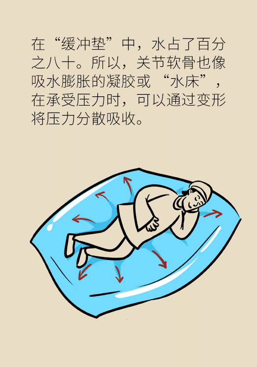 人老關(guān)節(jié)也會老嗎？