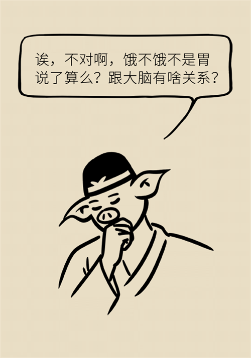 節(jié)食減肥會餓得脾氣暴躁？