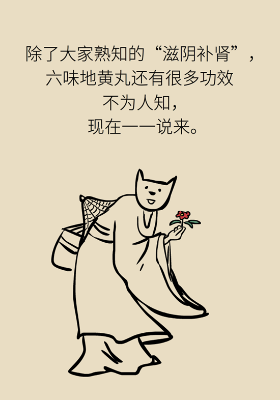 六味地黃丸 六味地黃丸科普
