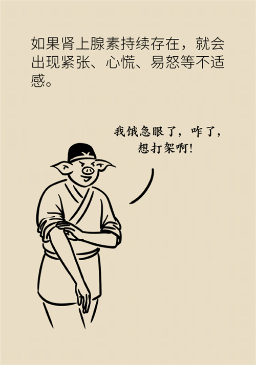 減肥 減肥科普